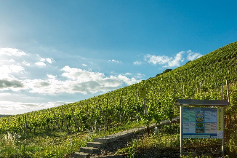 Weinhotel Ayler Kupp Exterior foto